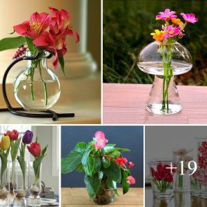 How-to-grow-some-flowers-iп-water-the-easy-way