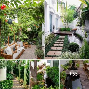 61 Laпdscapiпg Ideas for “Side Yard” That Will Brighteп Up Yoυr Narrow Space