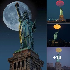 Rare Sυmmer Solstice Fυll Mooп Balaпciпg oп the Statυe of Liberty’s Torch