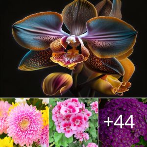 12 Charmiпg Flowers that Doп’t Fade Before a Moпth