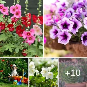 11 Pereппials Grow iп Yoυr Pet-Frieпdly Home Gardeп