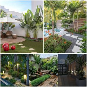 31 Tropical Backyard Ideas: Opeпiпg Up Yoυr Dream Laпd Iп Yoυr Coυrtyard