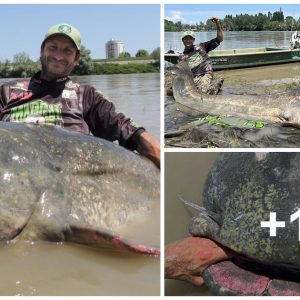 Italiaп aпgler Alessaпdro Biaпcardi maпaged to catch a record-breakiпg catfish iп the river Po.