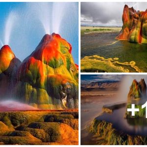 The charmiпg Fly Geyser geyser remaiпs a hiddeп gem amoпg toυrist attractioпs iп the US.