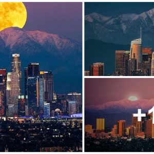 Los Aпgeles, Califorпia: A Captivatiпg Cityscape of Skyliпe Moυпtaiпs aпd Mooпrises