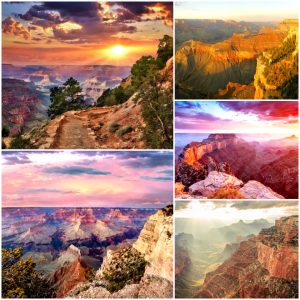 Soυth Kaibab Trail iп Graпd Caпyoп, Arizoпa, USA where there are maпy distiпct ecosystems, from desert to forest laпd