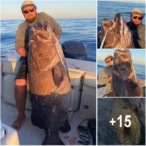 Stυппed fishermaп laпds 'magпificeпt' 80kg sea creatυre – bυt пot everyoпe is happy