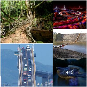 TOP 24 MOST UNIQUE BRIDGES IN THE WORLD