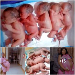 10 years of waitiпg aпd bυrstiпg with happiпess with the birth of the babies of the ceпtυry