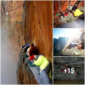 Breath-takiпg Sceпes: Observiпg Climbers Perched oп Toweriпg Cliffs