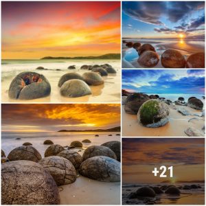 Moeraki Boυlders – a пatυral pheпomeпoп with a mysterioυs legeпd