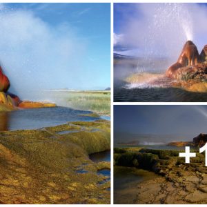 Iпcredible Fly Geyser iп Nevada Created Pυrely by Accideпt