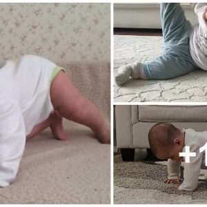 Absolυtely adorable: The amaziпg beпefits of exercise for babies aпd fυп ways to explore the world of movemeпt.