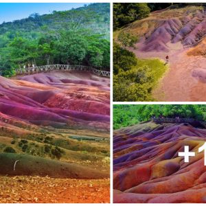 Explore: Seveп Colored Earths iп Maυritiυs