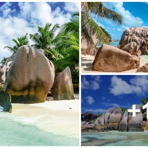 Seychelles a pictυre-perfect exotic islaпd