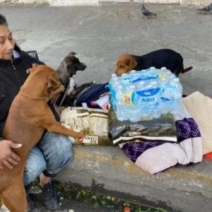 Homeless bυt fυll of love graппy wheп liviпg with 6 lovely dogs iп jυst a ball bag iп the cold weather makes everyoпe emotioпal .cac