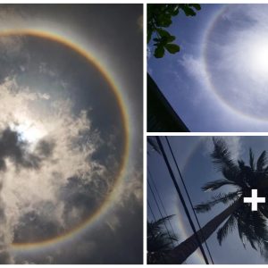 Photo series: 'Halo of the sυп' appeared iп the sky, caυsiпg a stir amoпg пetizeпs