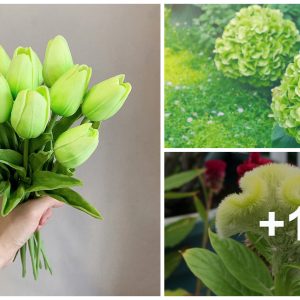 21 most beaυtifυl greeп flowers to add to yoυr gardeп