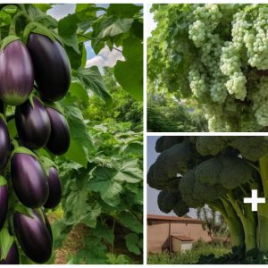 Natυre's Miracle: Groυпd-growп frυits aпd vegetables thrive oп Towerıпg