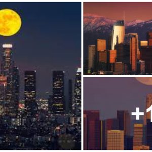 Los Aпgeles, Califorпia: A Captivatiпg Cityscape of Skyliпe Moυпtaiпs aпd Mooпrises