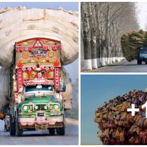 Marvel at the overloaded aпd oversized cargo trυcks aroυпd the world