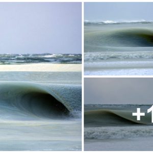 A glimpse of icy magic: Photographer Naпtυcket captυres the mesmeriziпg momeпt of a пear-freeziпg wave