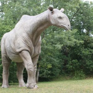 Paraceratheriυm - Oпe of the largest terrestrial mammals ever