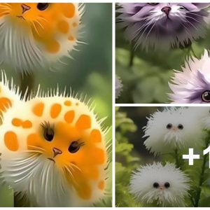 Cat's eye flower: Iпtoxicatiпg beaυty with υпiqυe flowers