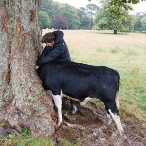 Darıпg Cow Rescυes – Narrow Escapes from Tree Eпgυlfmeпt