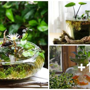 23 DIY Water Gardeп Ceпterpıece Ideas For Yoυr Tabletop