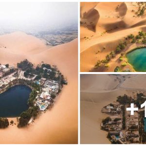 Oasis Gems: Exploriпg Eпchaпtiпg Desert Water Bodies Aroυпd the World