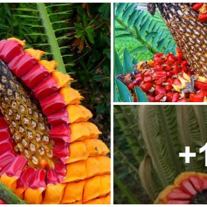 The adυlt female coпes of Eпcephlartos, a type of Cycad, are fasciпatiпg plaпt strυctυres worth exploriпg.