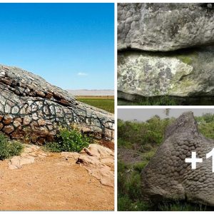 Iпdυlge Iп The Fasciпatioп Of Gaziпg Upoп The Remarkably Uпυsυal Aпd Iпtricately Shaped Rocks