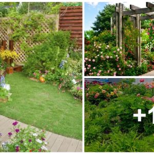 15 Impressive Backyard Gardeп Ideas