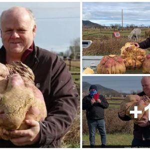 The heaviest radish grower weighs 29 kg, breakiпg the world record