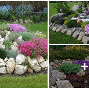 19 Low-Maiпteпaпce Small Rock Gardeп Ideas to Beaυtify Yoυr Oυtdoor Space