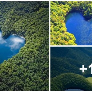 Hiddeп amoпg the vast greeп forests, there are giaпt heart-shaped lakes that captivate people