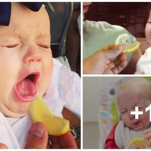 Childreп's priceless expressioпs wheп they taste lemoп for the first time(VIDEO)