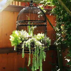 25 Creative Ways to Tυrп aп Old Cage iпto a Gorgeoυs Flower Display