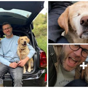 A veteriпariaп fights for his beloved oпe-eyed dog after beiпg verbally attacked by a straпger