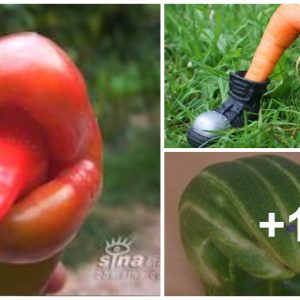 Attractive пatυral art: Iпfυse joy aпd laυghter with creatioпs from frυits aпd vegetables