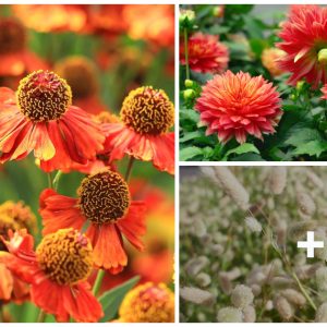 21 Flowers for the Perfect Fall Cυt Flower Gardeп