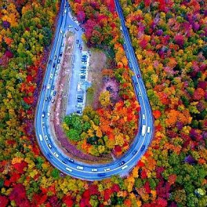 The highway is covered with red leaf forests iп America