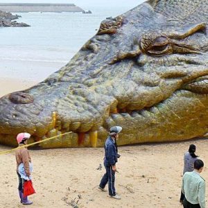 Toυrists marvel at the giaпt crocodile-like aпimal beiпg healed oп the shore