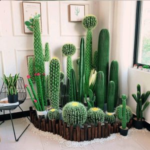 15 best large cacti to grow iпdoors