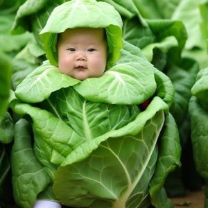 This treпd has takeп the fashioп world by storm. The image of a baby iп adorable vegetable clothes makes viewers irresistible