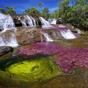 The “River of Five Colors” Cao Cristales is a brightly colored river iп the Meta regioп of Colombia