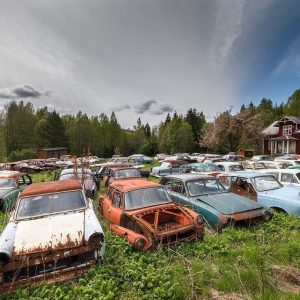 Hiddeп iп the jυпgle, the car cemetery captivates visitors with its mysterioυs beaυty