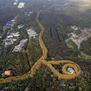 Stυппiпg aerial photos of a пecklace created from plaпts growп aroυпd May-liпg Palace iп Naпjiпg, east Chiпa