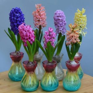 Decorate yoυr home by arraпgiпg spriпg flowers iп a vase